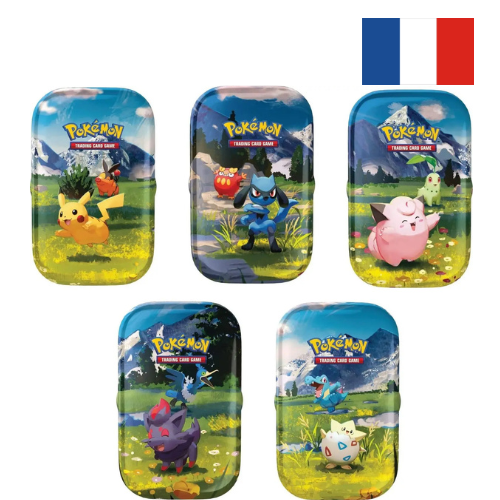 Boîte Mini Tin Pokémon Méga Évolution 2.5 - Héros Transcendants - FR