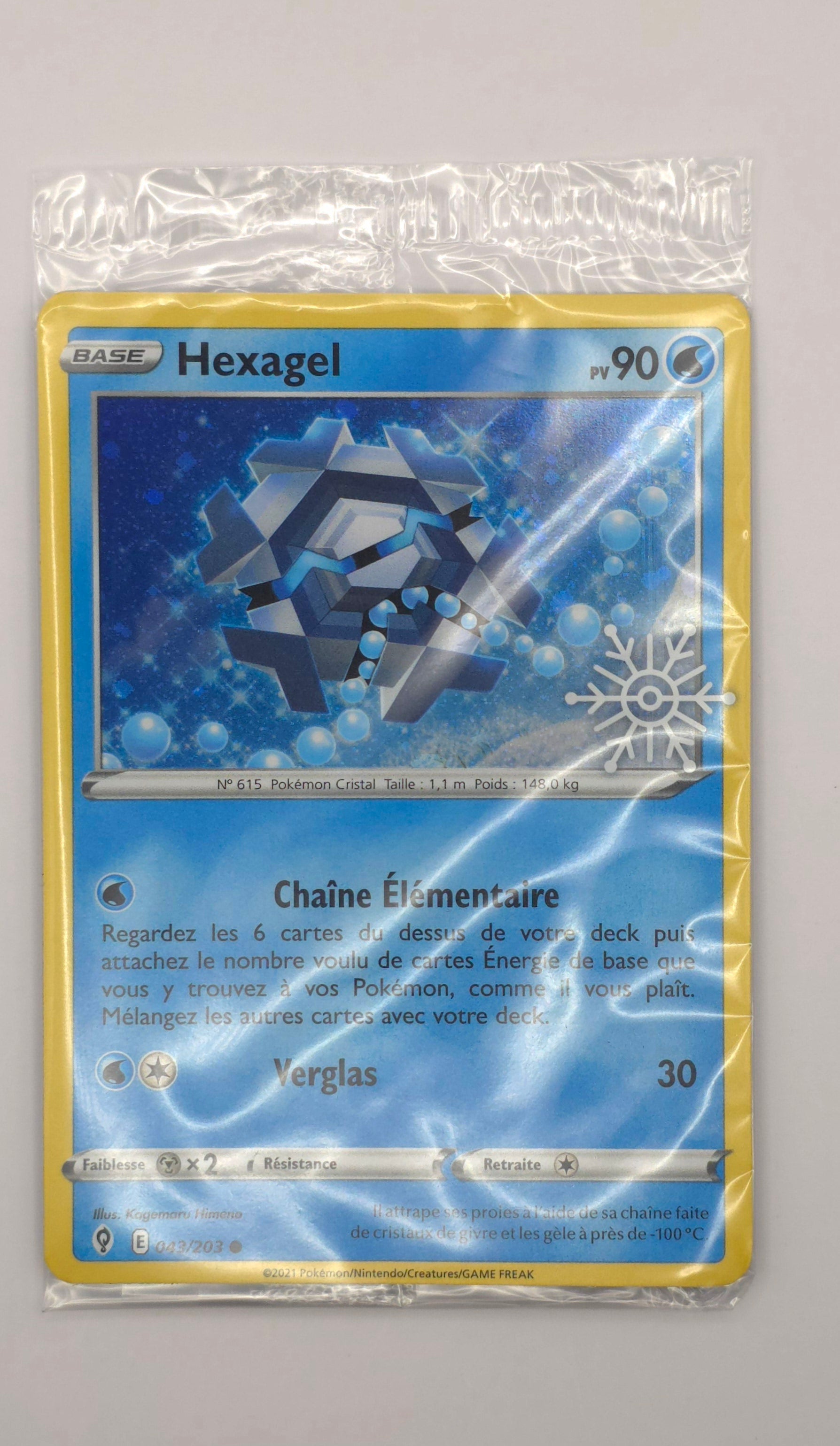 Carte Pokémon – Exagel Holo (Promo 043/203) – FR