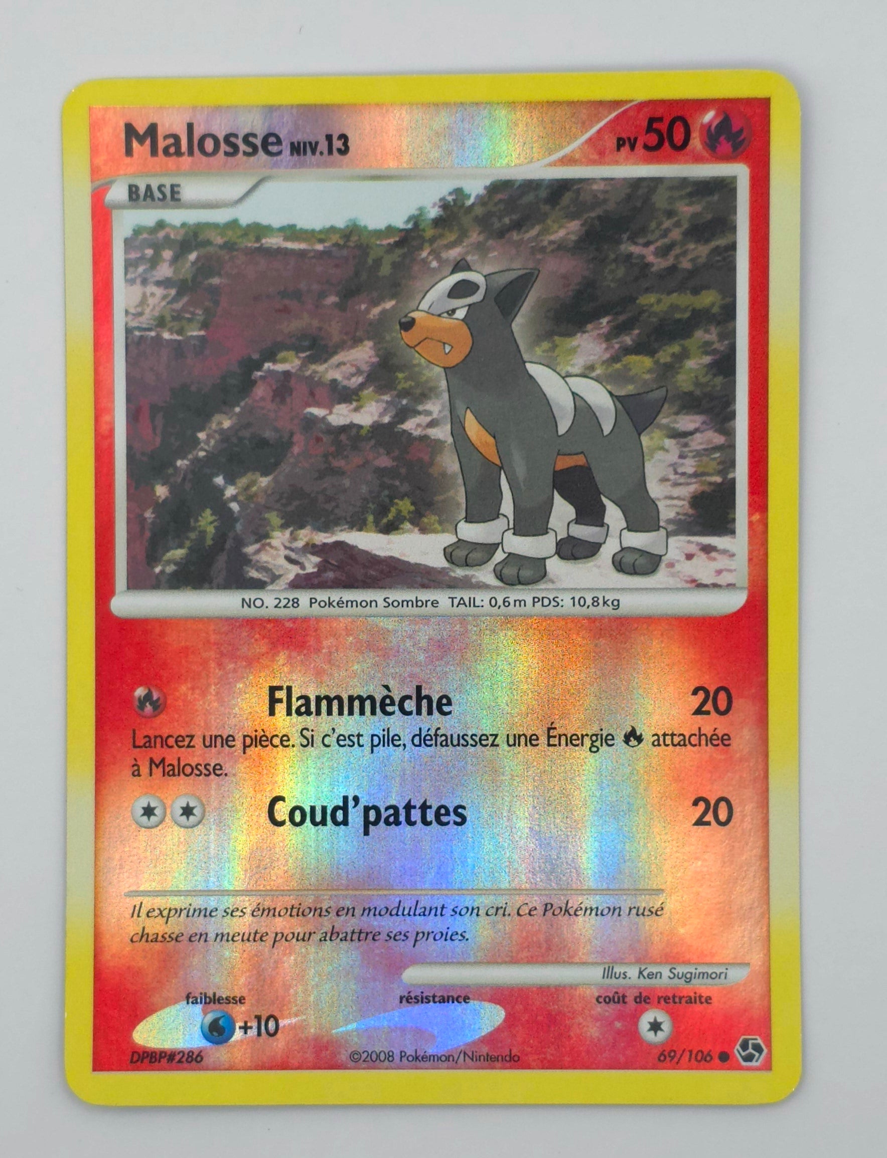 Carte Pokémon – Malosse Holo (Diamant & Perle – Duels au Sommet 2008 – 69/100) – FR