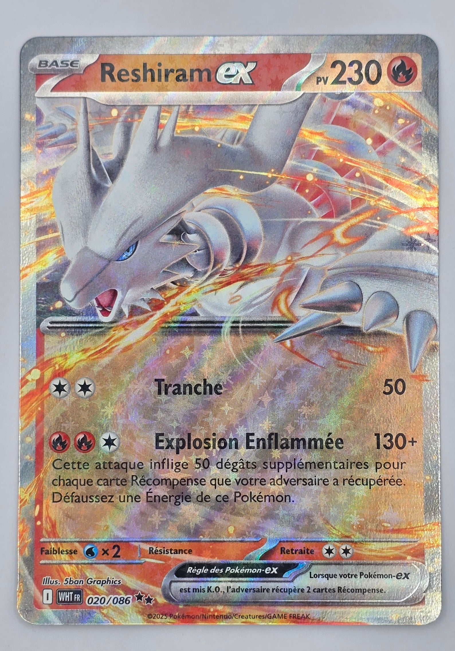 Carte Pokémon – Reshiram EX 020/086 –  Flamme Blanche (EV10.5) - FR