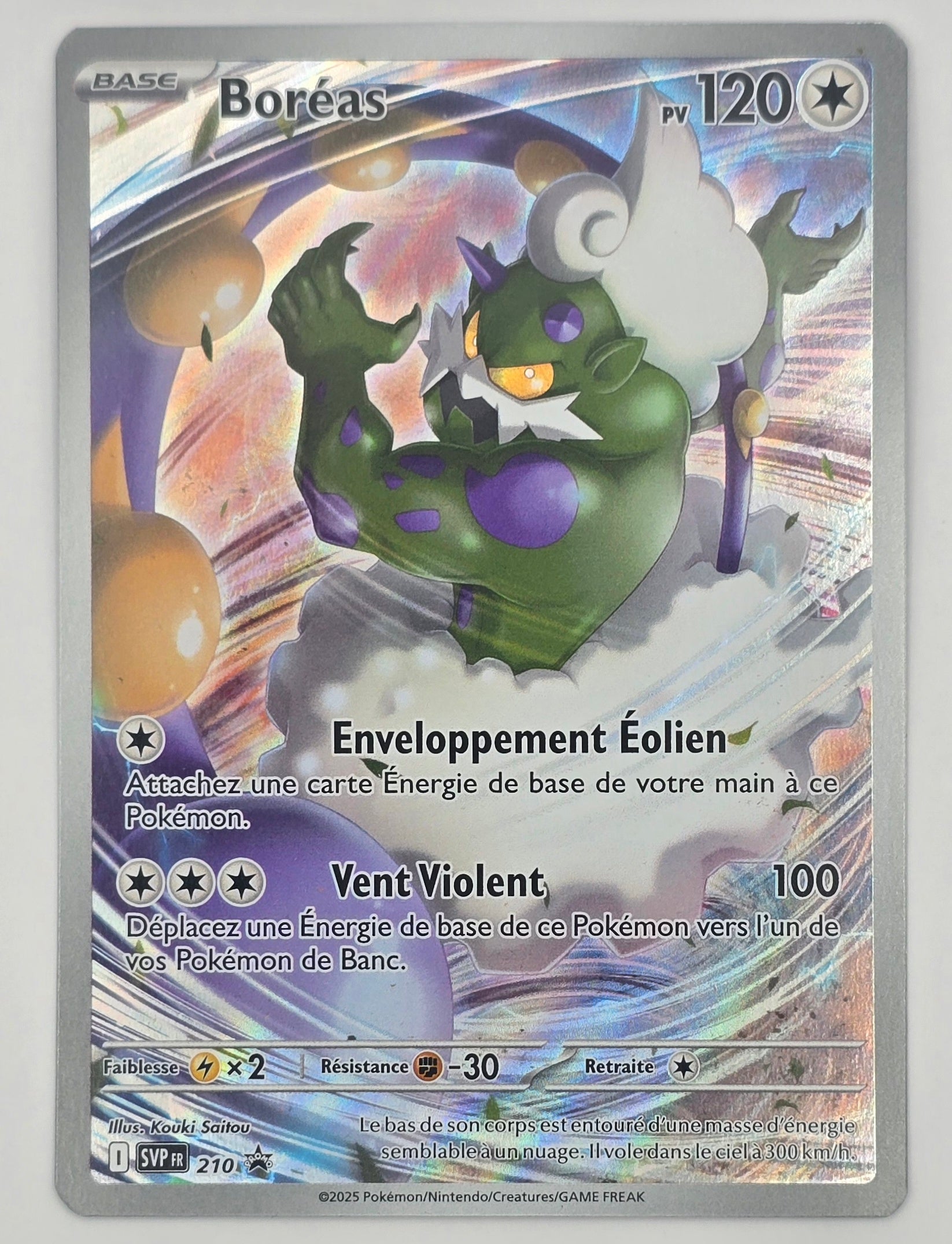 Carte Pokémon – Boréas 210 (Black Star Promo) - Flamme Blanche (EV10.5) - FR