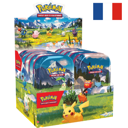 Display sous blister Mini Tin Pokémon Méga Évolution 2.5 - Héros Transcendants - FR